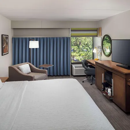 Hampton Inn Atlanta-Northlake-3