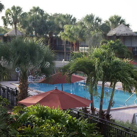 Magic Tree Resort-3
