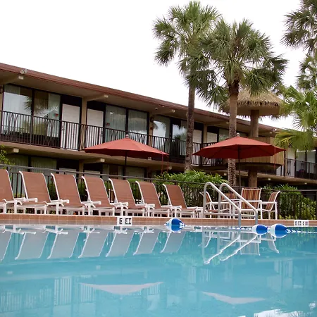 Magic Tree Resort-2