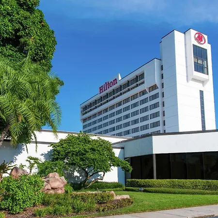 Hilton Tampa Airport Westshore-2