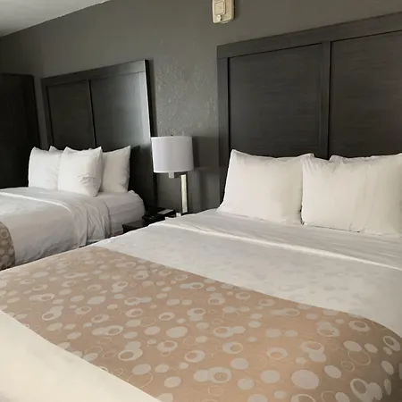 Comfort Inn Chicago Schaumburg - O'Hare Airport-2