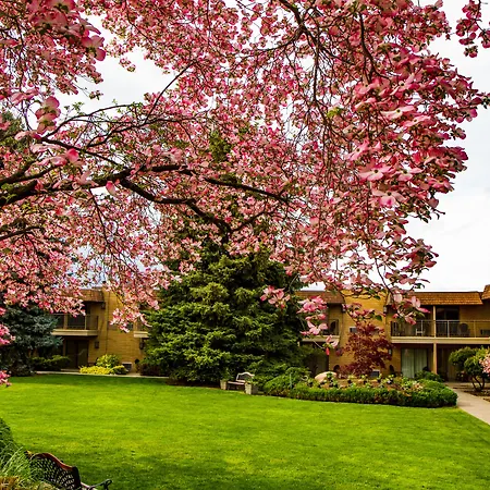 Mirabeau Park Hotel-3