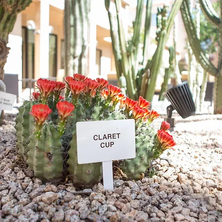 Courtyard By Marriott Phoenix Mesa-2