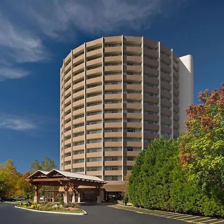 The Park Vista - A Doubletree By Hilton Hotel - Gatlinburg-3