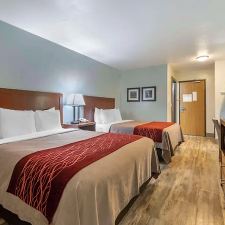 Surestay Plus Hotel By Best Western Buffalo-3
