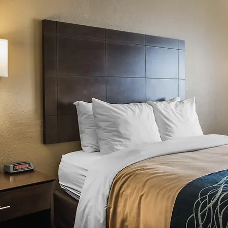 Comfort Inn & Suites Waterloo - Cedar Falls-3