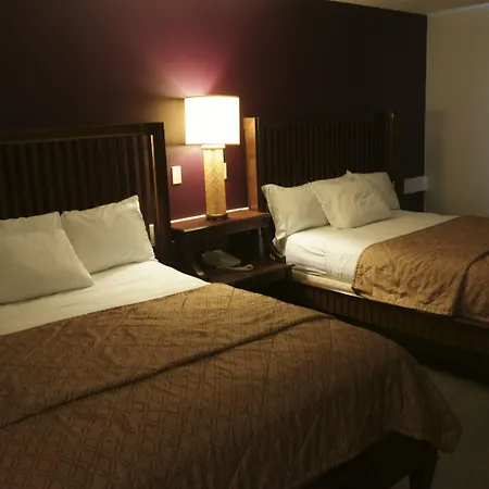 Wingate By Wyndham Murfreesboro-Near Mtsu-2