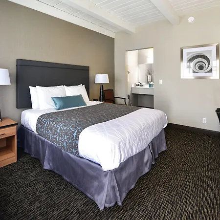 City Center Inn And Suites-3