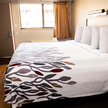 Red Roof Inn Rochester - Henrietta-2