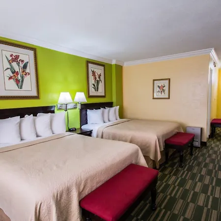 Comfort Inn & Suites Ormond Beach Oceanfront-3