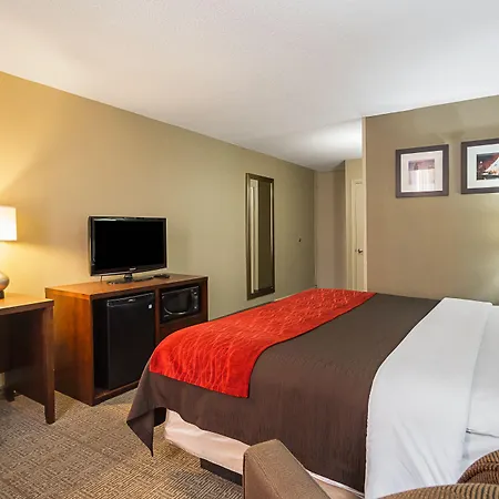 Comfort Inn Cleveland Downtown-2