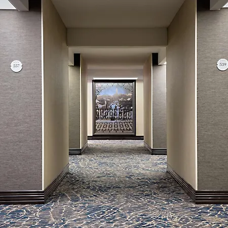 Hilton New Orleans Airport-2