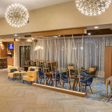 Marriott Tampa Westshore-2