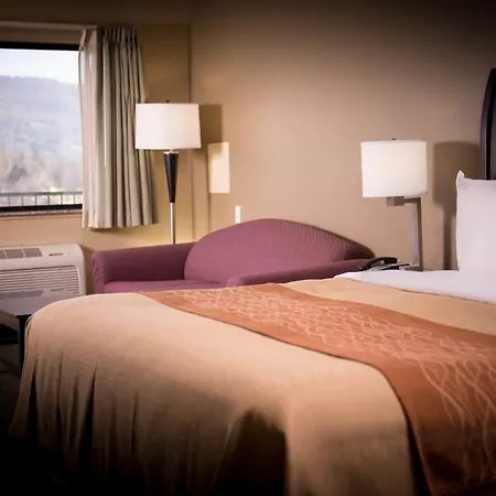 Comfort Inn Yosemite Area-3