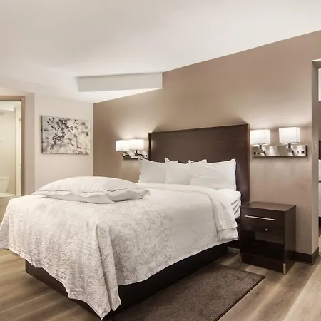 Red Roof Inn Plus & Suites Erie-3
