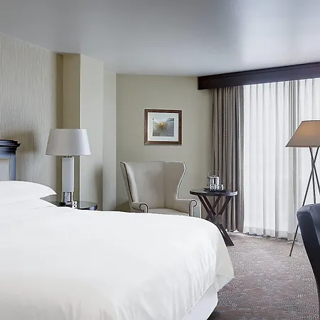 Sheraton Houston Brookhollow Hotel-3