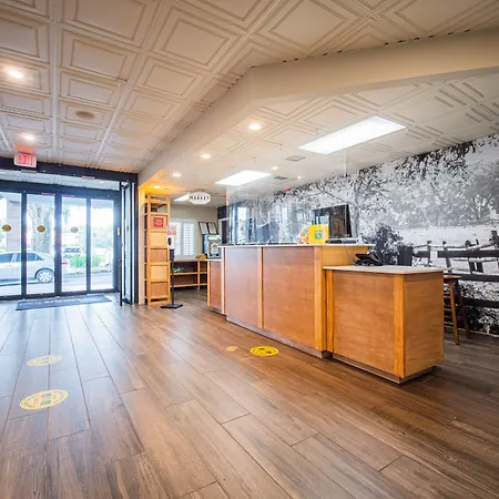 Equus Inn I75-3