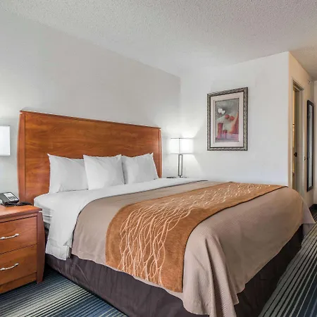 Quality Inn Denver Westminster-2