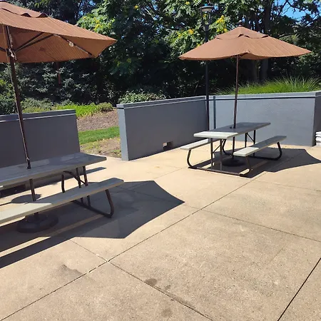 Spark By Hilton Stevensville-2