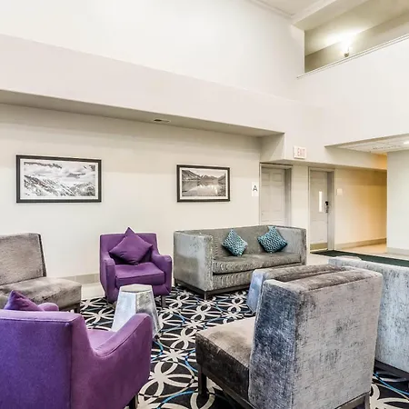Quality Inn & Suites Westminster - Broomfield-3