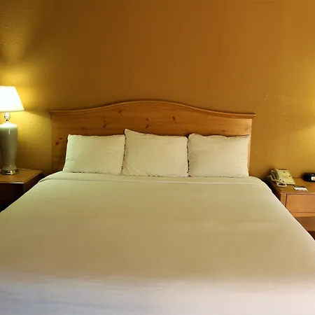 The Midtowner Hotel, Surestay Collection By Best Western-2