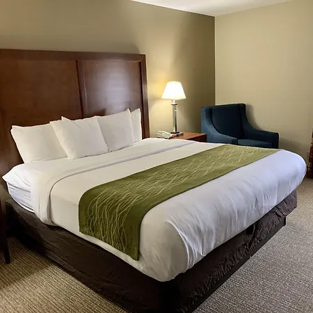Comfort Inn Columbia West-2
