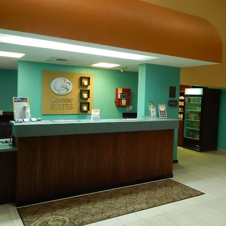 Comfort Suites Tampa - Brandon-3