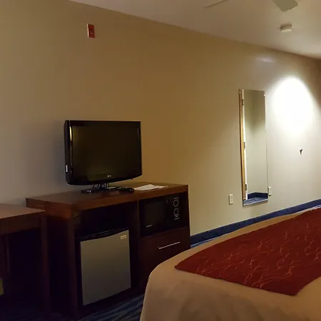 Comfort Inn & Suites Sequoia Kings Canyon-3