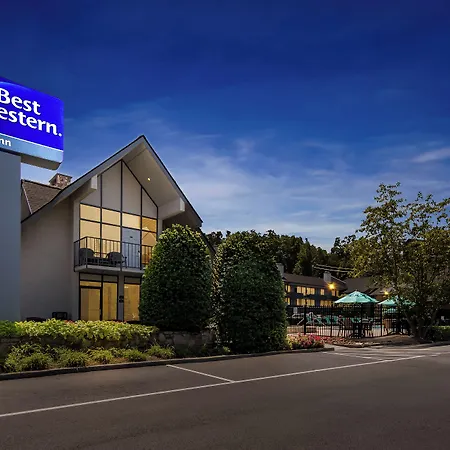 Best Western Toni Inn-3