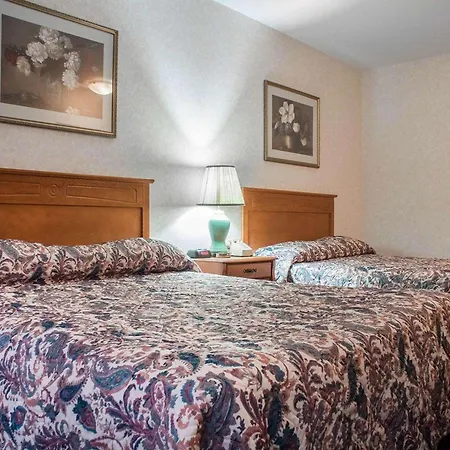 Econo Lodge By The Falls-2