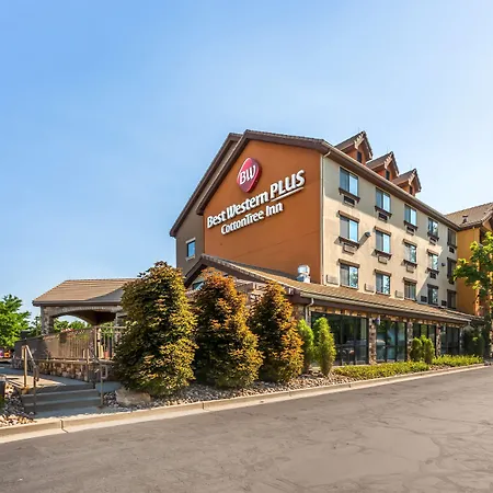 Best Western Plus Cotton Tree Inn-2