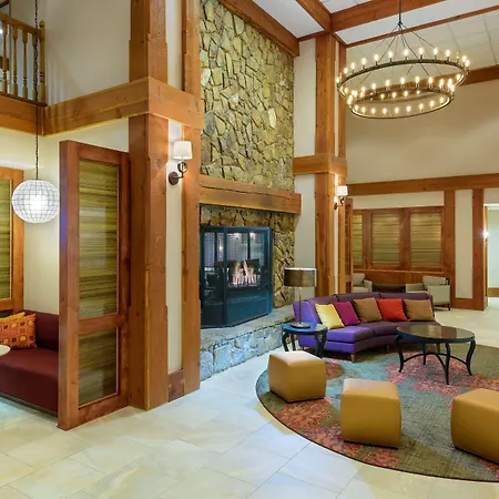 Homewood Suites By Hilton Raleigh/Crabtree Valley-3