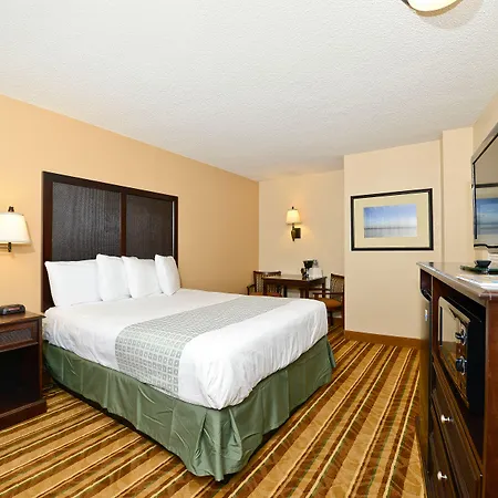 Rushhh Daytona Beach, Tapestry Collection By Hilton-3