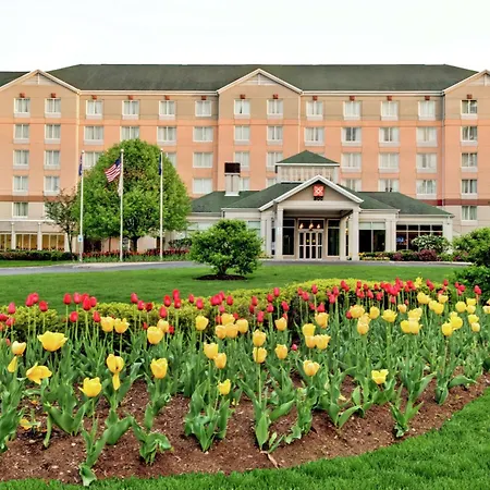 Hilton Garden Inn Albany Airport-3