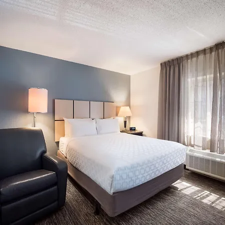 Sonesta Simply Suites Detroit Warren-2