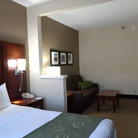 Comfort Suites Johnson City Near University-2