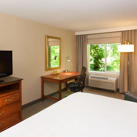 Hilton Garden Inn Seattle/Renton-3