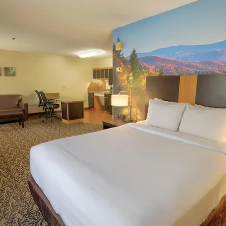 Leconte Hotel & Convention Center, An Ascend Collection Hotel-3
