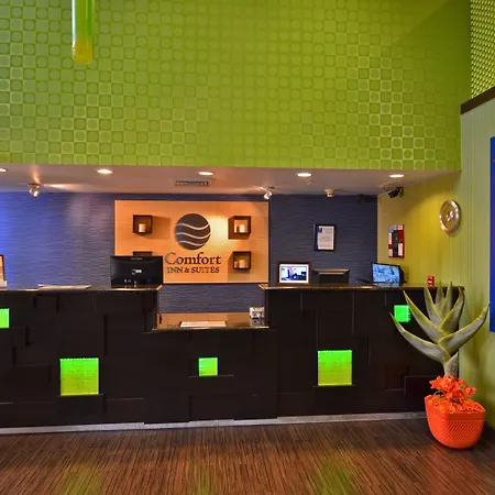 Comfort Inn & Suites Lantana - West Palm Beach South-3