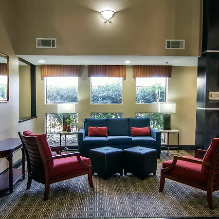 Comfort Inn & Suites Love Field-Dallas Market Center-3
