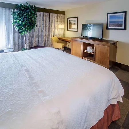 Hampton Inn South Haven-3