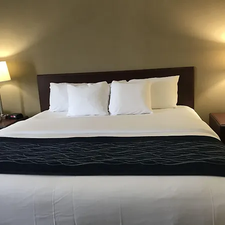 Comfort Inn-2
