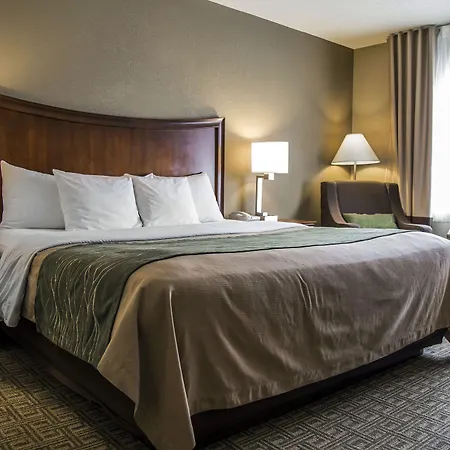 Quality Inn & Suites Bradford-3