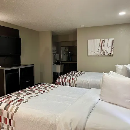 Red Roof Inn & Suites Jackson - Richland-3