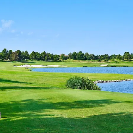 The Westin Dallas Stonebriar Golf Resort & Spa-2