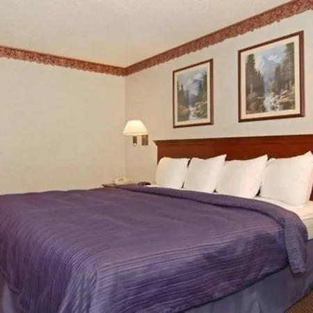 Quality Suites Albuquerque Airport-3