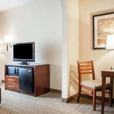 Comfort Inn & Suites Hamburg - Buffalo South-2