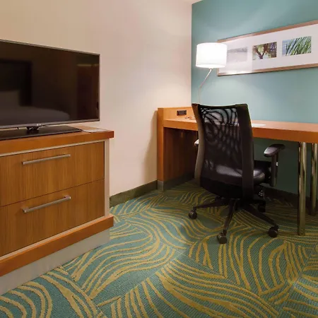 Springhill Suites By Marriott Orlando Lake Buena Vista South-3