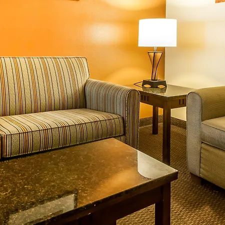 Comfort Inn & Suites Midtown-2
