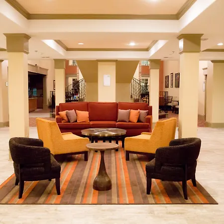 Homewood Suites By Hilton Houston-Woodlands-Shenandoah-3